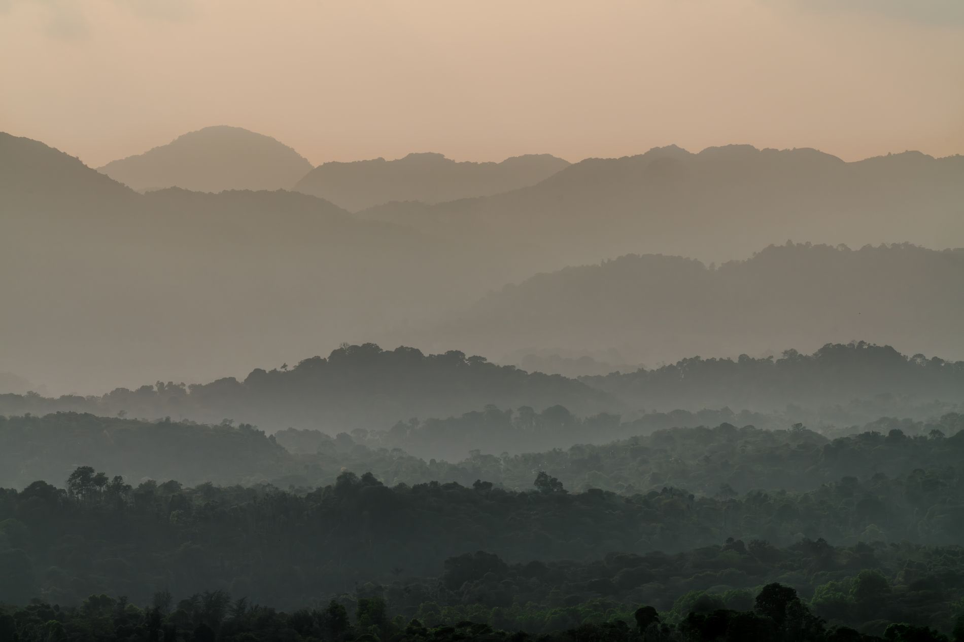 Layers of misty Ozark ridges at dawn