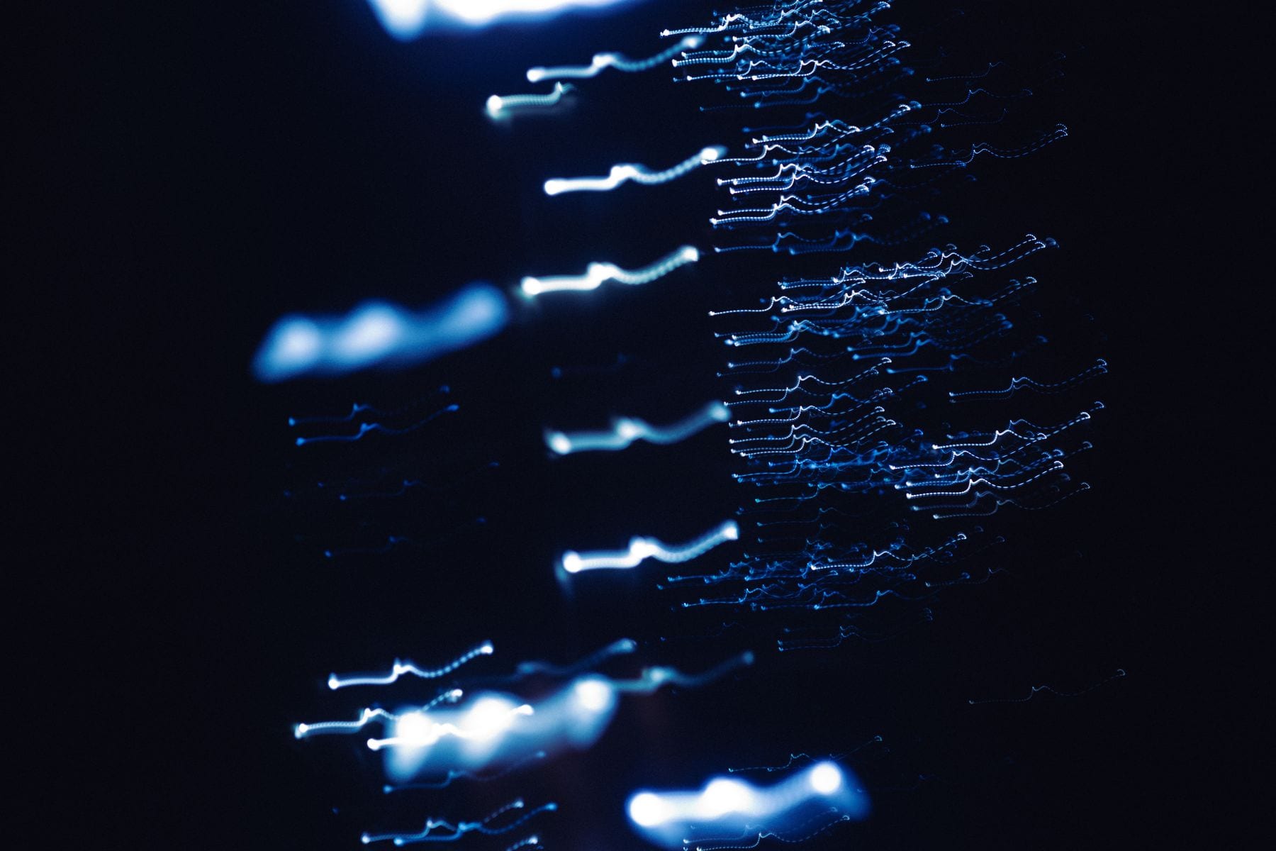 Blue streams of digital data on black