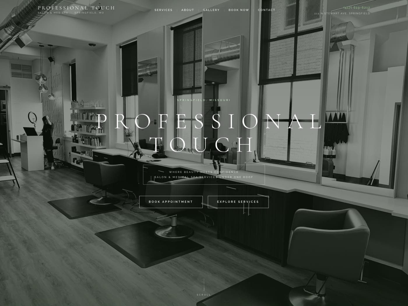 Professional Touch Salon and Med Spa website