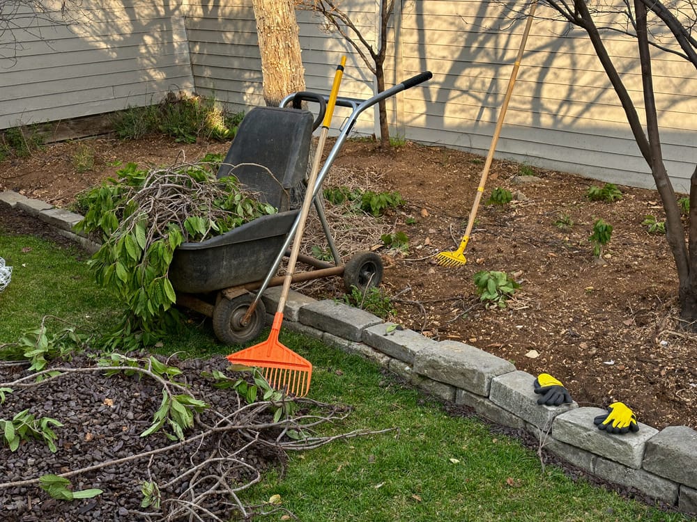 Shrub removal and cleanup