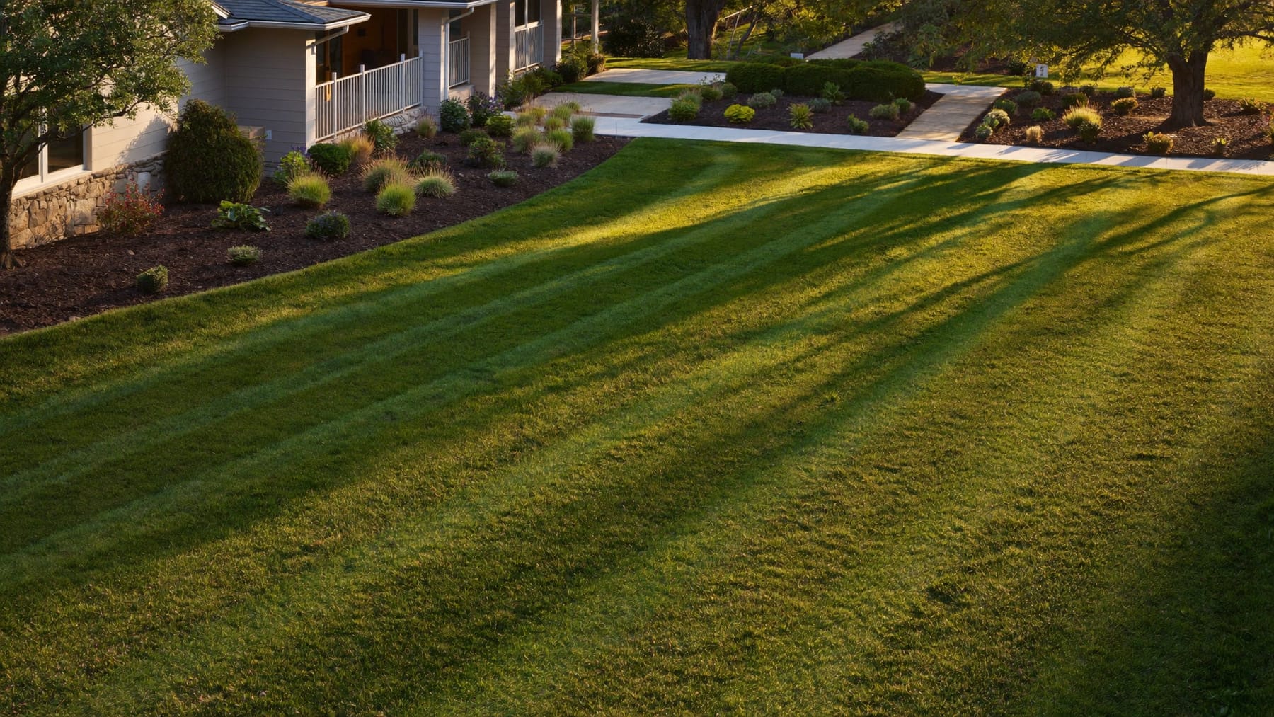Freshly mowed lawn with golden hour stripes