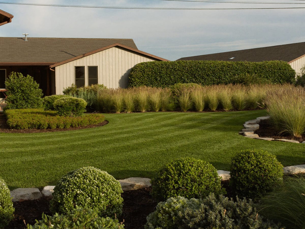 Landscaped front yard