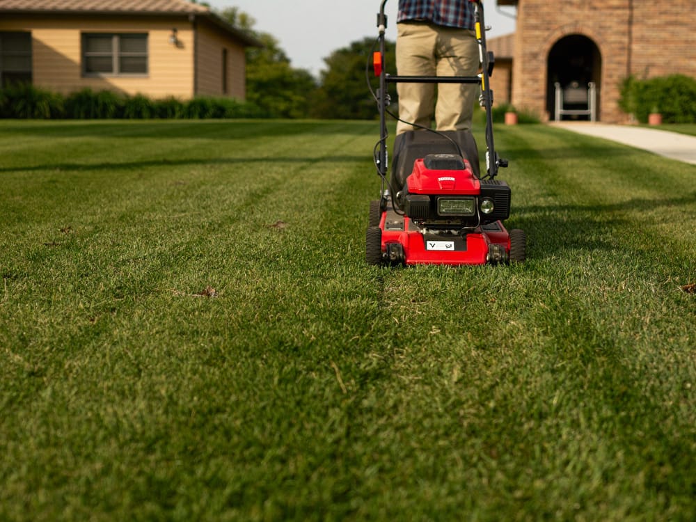 Freshly striped lawn