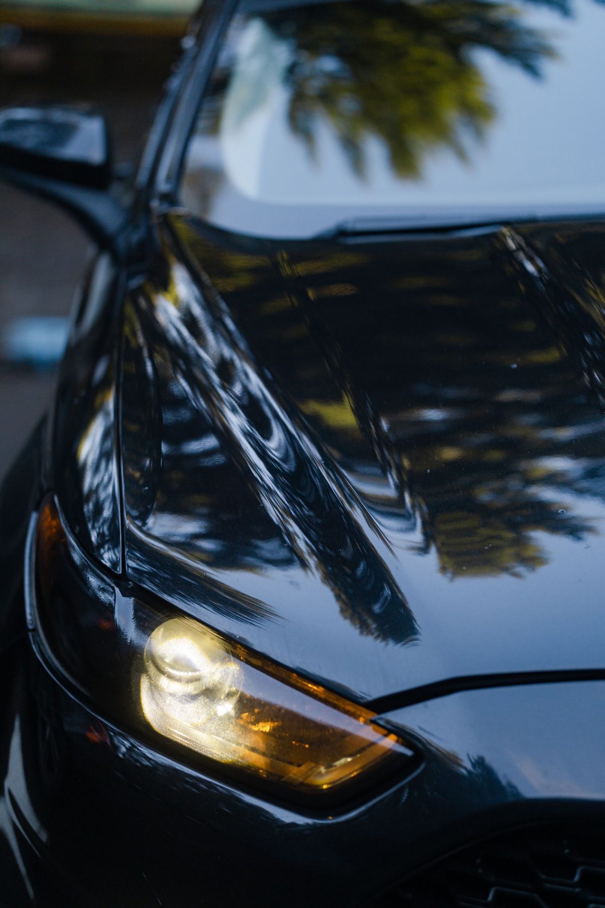 Deep gloss reflections on freshly coated black paint